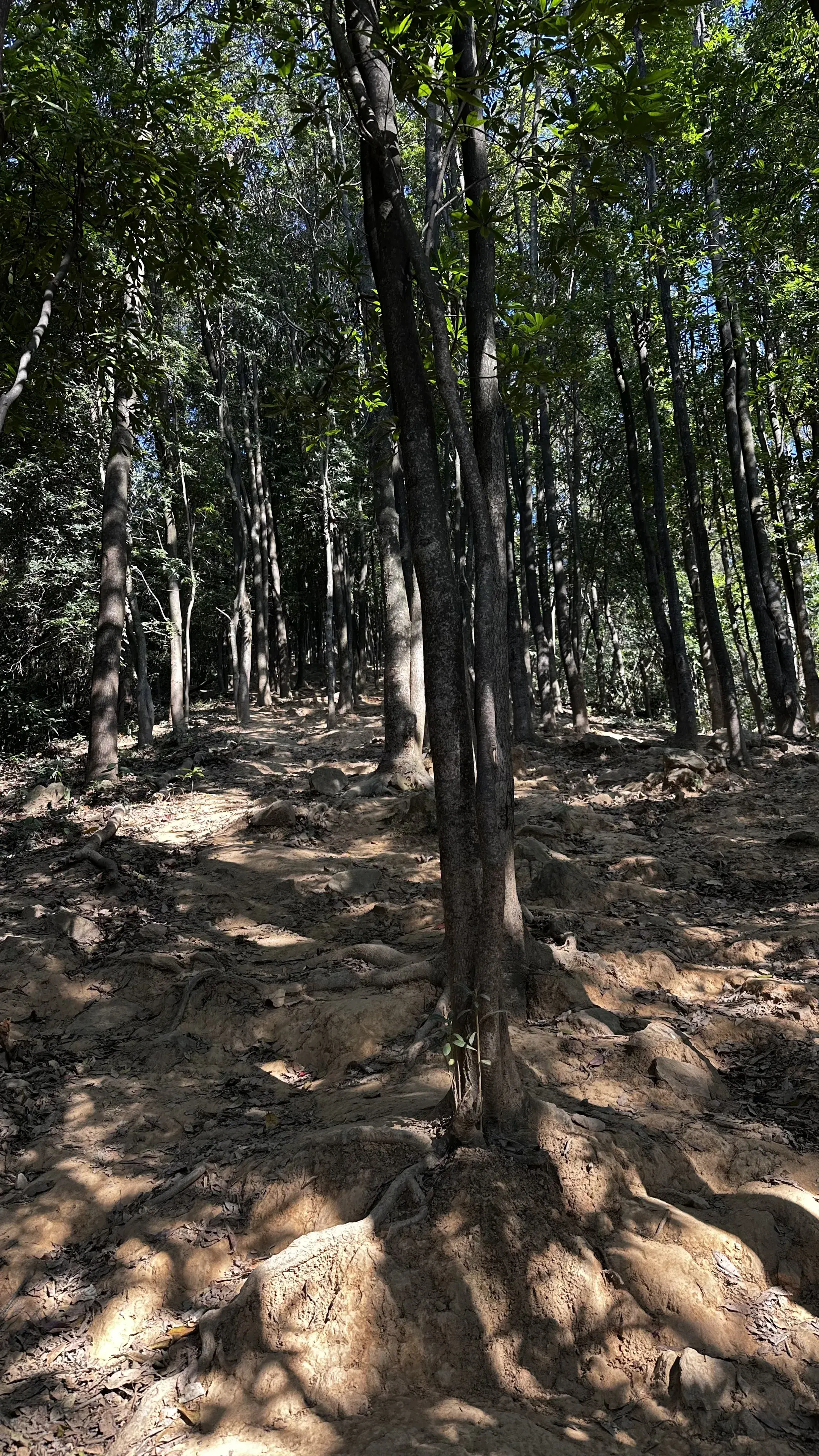 路況